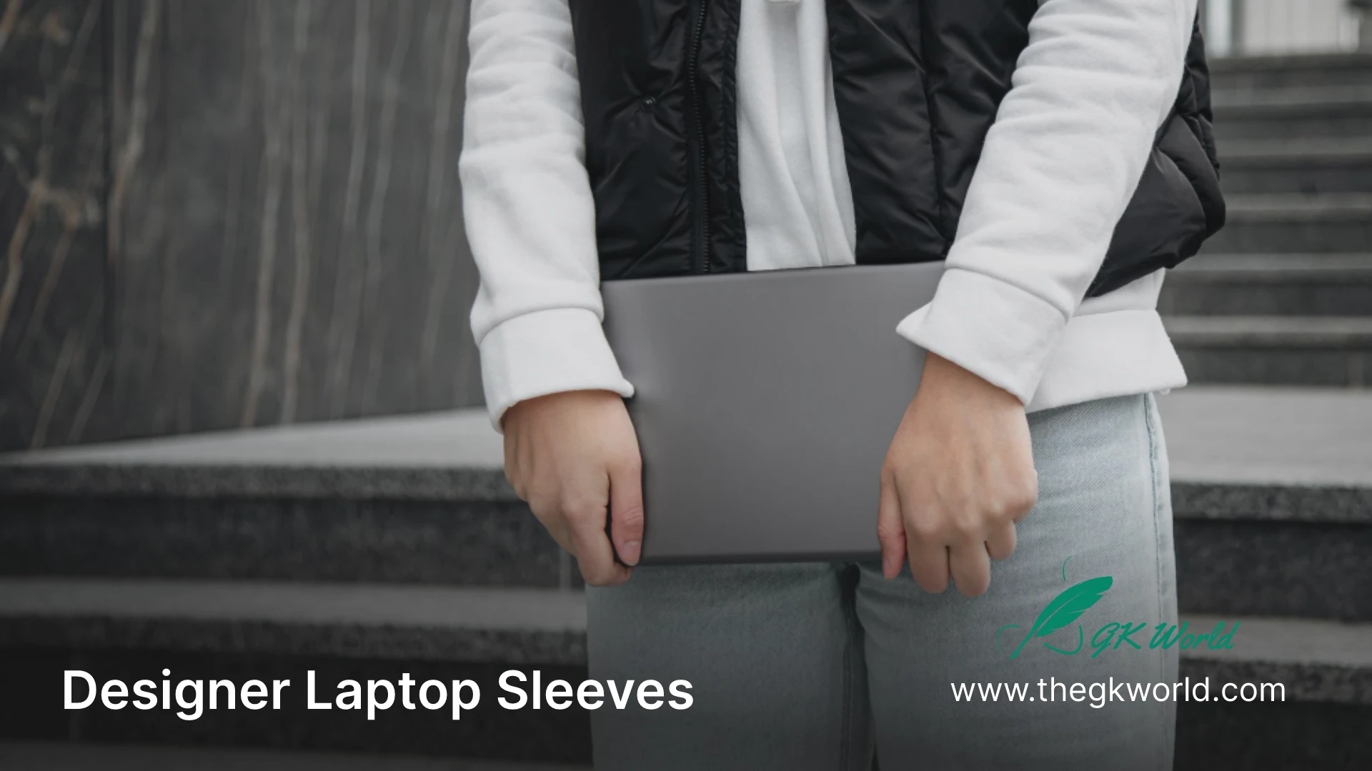 Designer Laptop Sleeves